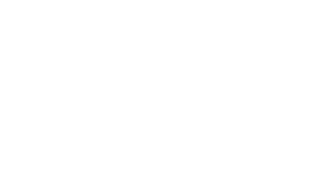 SheenGenieLogo